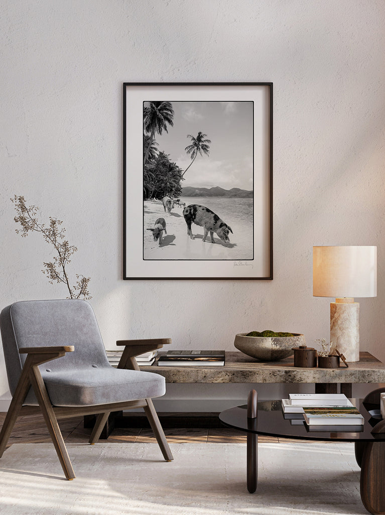 framed artwork of a  Black and white fine art photograph of swimming pigs on a beach in the Bahamas, part of Paul Fuentes’ minimal and elegant Black & White Collection.