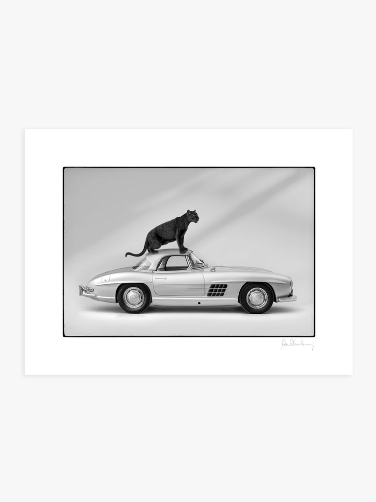 giclee print. Black and white fine art photograph of a black leopard standing on a Mercedes 300SL, part of Paul Fuentes’ minimal and elegant Black & White Collection.