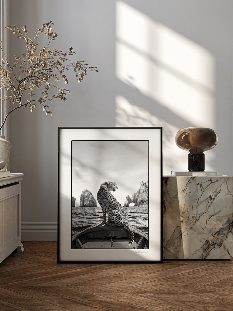 framed artwork Black and white fine art photograph of a cheetah on a boat in Los Cabos, Mexico, part of Paul Fuentes’ minimal and elegant Black & White Collection.