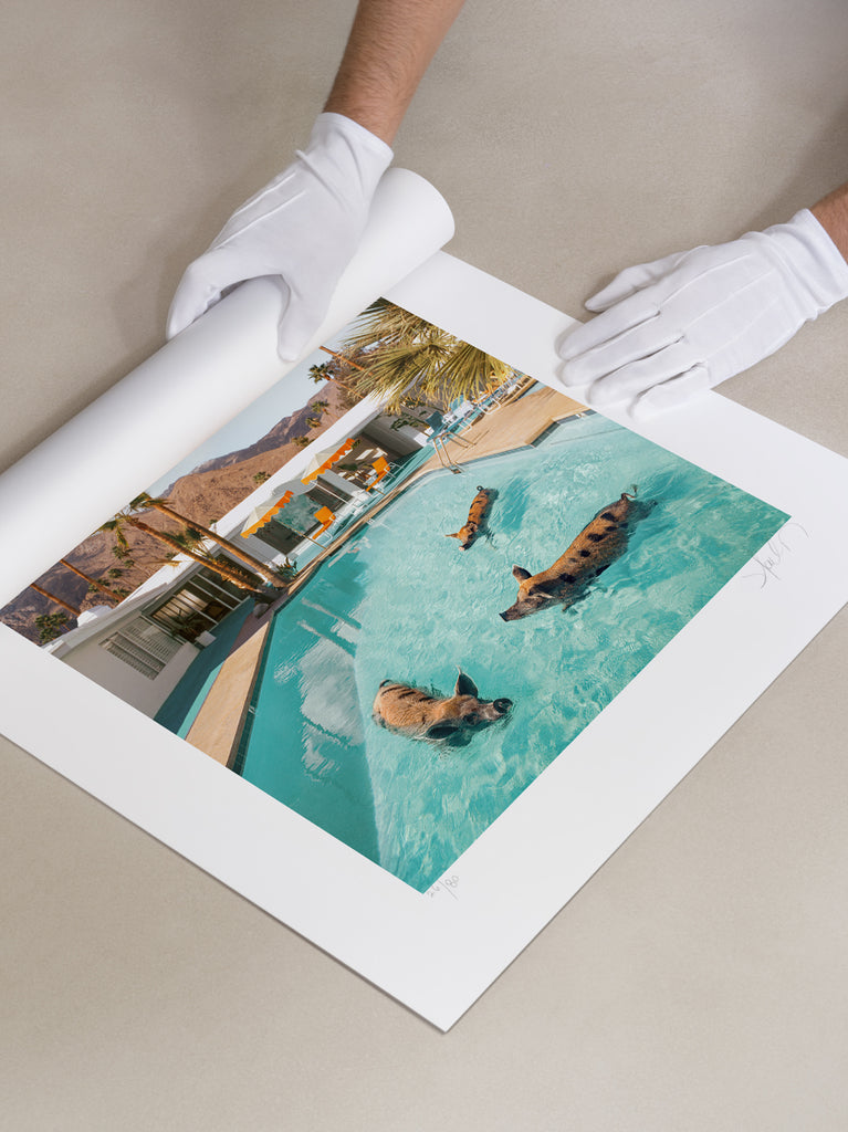 Paul Fuentes unrolling a large fine art print of Pigs Pool Party