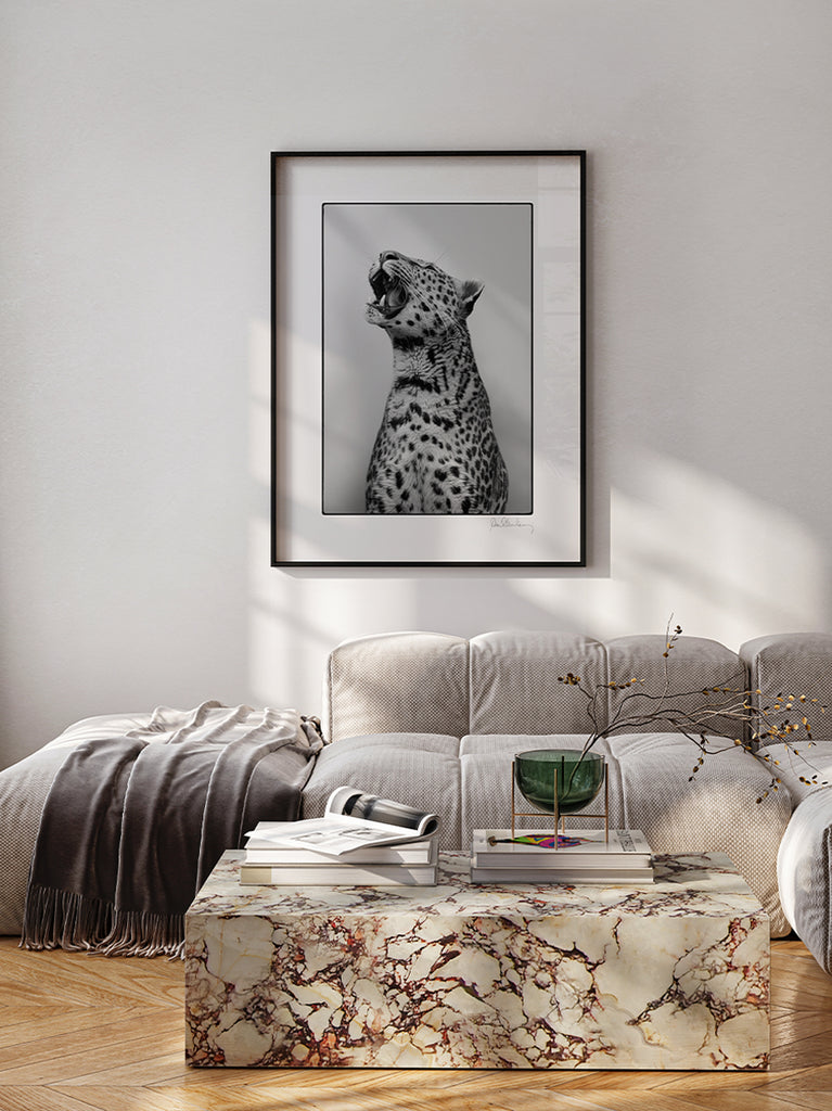 Framed artwork The Roar. Black and white fine art photograph of a leopard, part of Paul Fuentes’ minimal and elegant Black & White Collection.