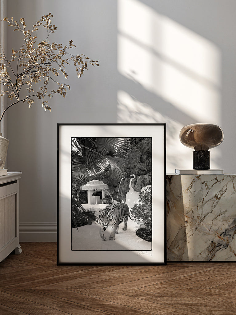 Framed black and white photograph of a tiger in a natural setting, placed on a wooden floor with decorative elements by Paul Fuentes from the new black and white collection