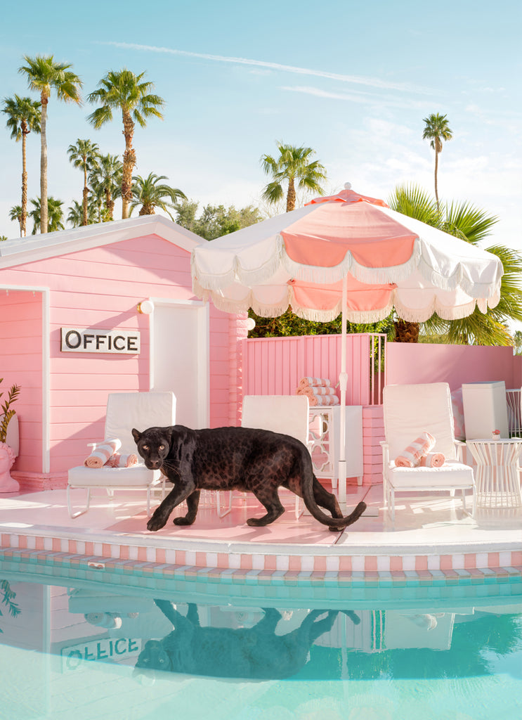 Office pink motel Trixie Motel black panther pool