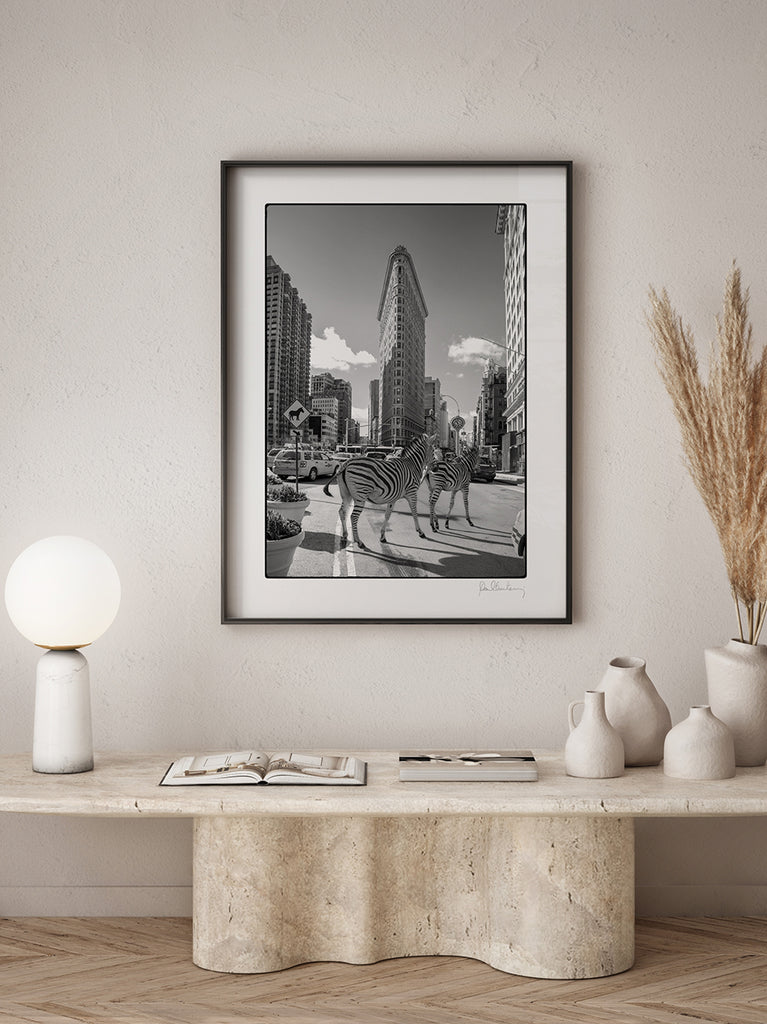 framed artwork of Black and white fine art photograph of a zebra walking through the streets of New York City, part of Paul Fuentes’ minimal and elegant Black & White Collection.
