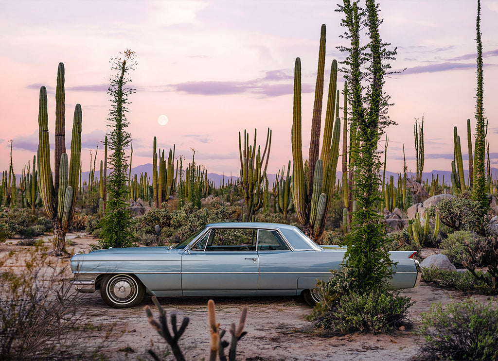 A photograph of a 1964 Cadillac Coupe DeVille in Valle de los Cirios, Baja California desert, Mexico, with a colorful sunset sky in the background. fine art photography by Paul Fuentes.
