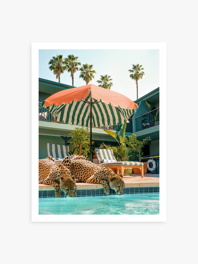 An artwork featuring two cheetahs sipping from the pool at Palihotel Hollywood. fine art print by Paul Fuentes
