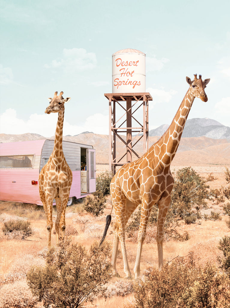 Two giraffes in a desert setting with a water tower and a vintage-style pink trailer in the background. Fine art photography by Paul Fuentes