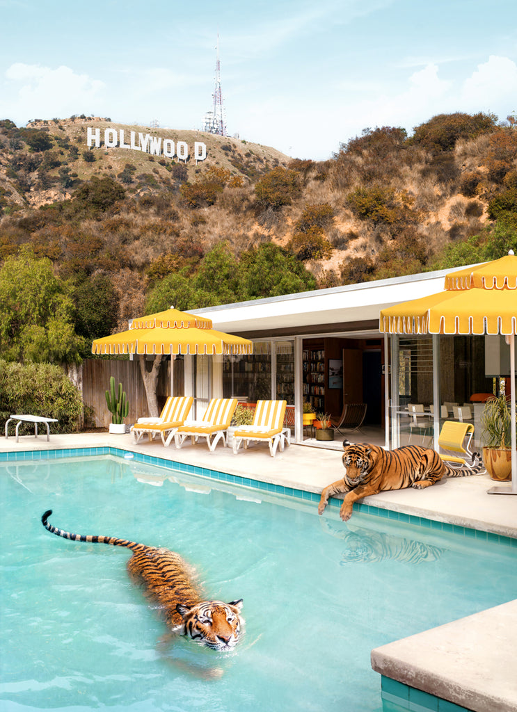 A vintage style print featuring two tigers lounging by a poolside with 'Hollywood' sign in the background and yellow 'Double Decker' umbrellas. fine art photograph by Paul Fuentes.