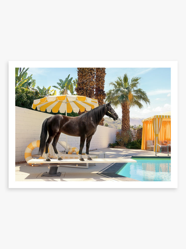 Horse by a Palm Springs pool with palm trees and a yellow umbrella in the background, fine art print by Paul Fuentes