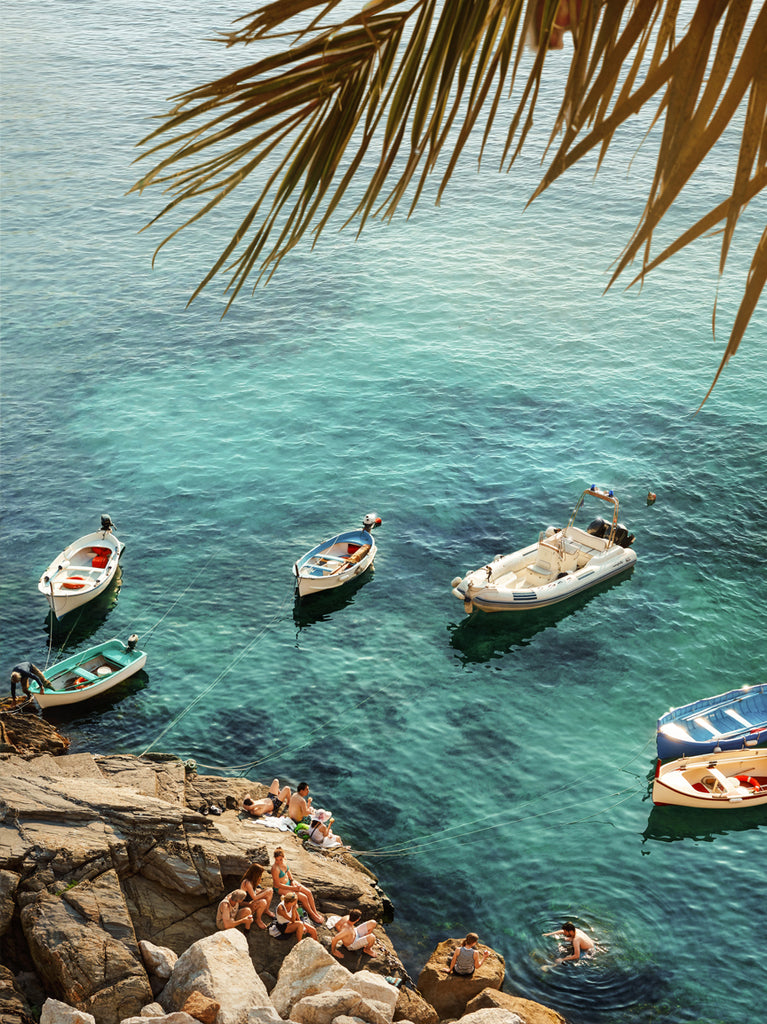 Boats anchored near rocky shores with palm leaves in the foreground, fine art photograph by Paul Fuentes.