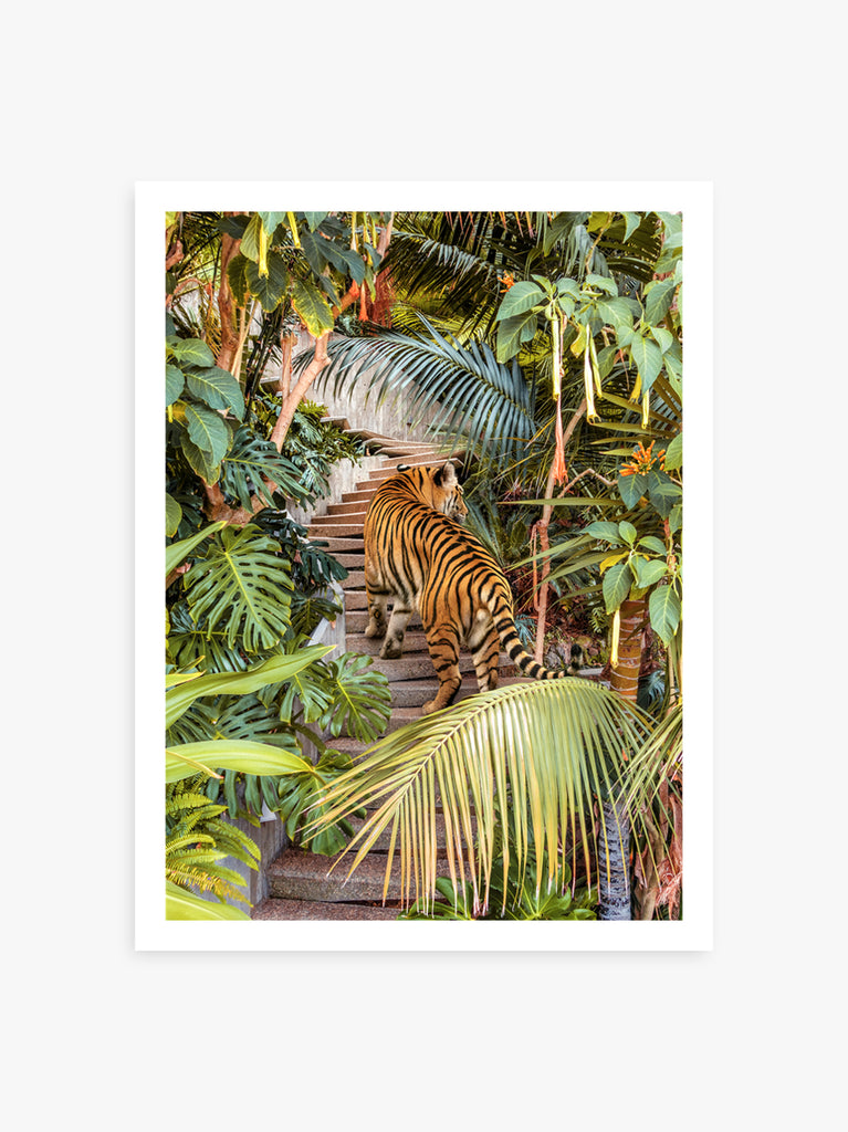 Tiger walking through a lush modernist jungle house, fine art print by Paul Fuentes.