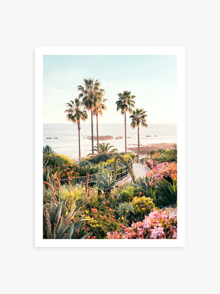 Palm trees and flowers at a beach scene in Laguna Beach, fine art photography by Paul Fuentes.