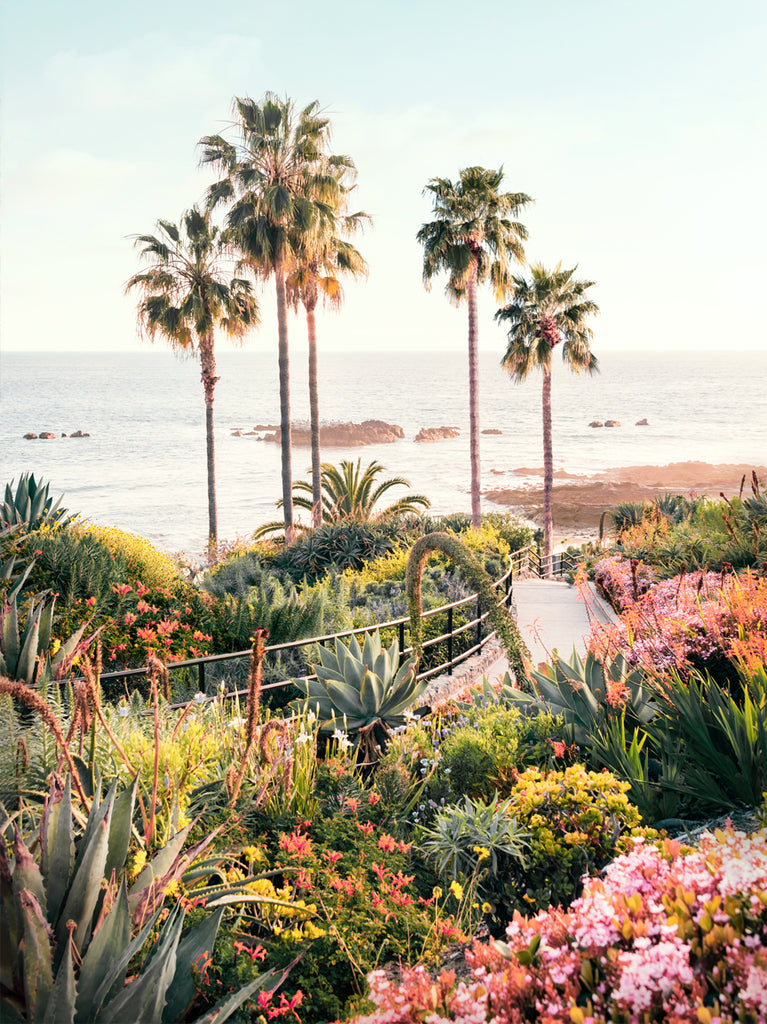 Palm trees and flowers at a beach scene in Laguna Beach, fine art photography by Paul Fuentes.