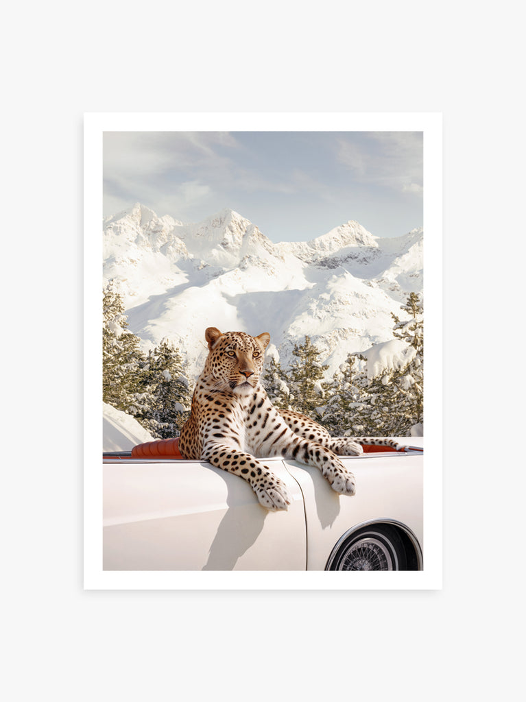 leopard in a classic white car with snowy mountains in the background, fine art photography by Paul Fuentes.