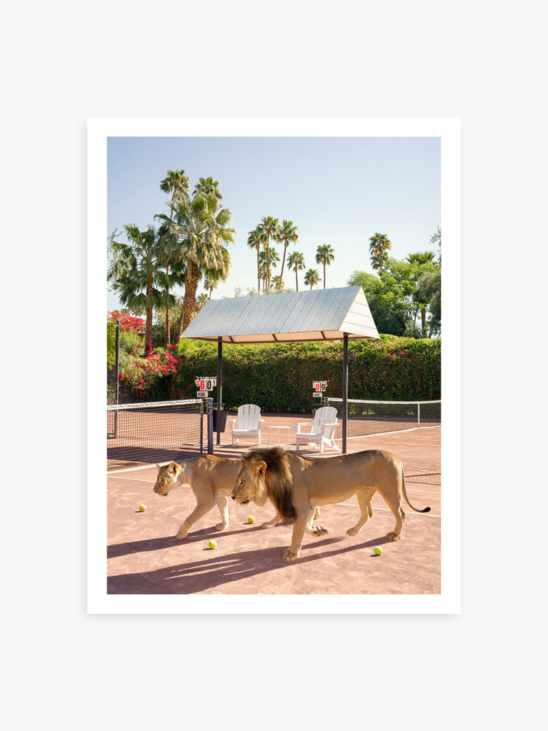 artprint of two lions walking on a tennis court at The Parker Palm Springs, fine art photography by Paul Fuentes.