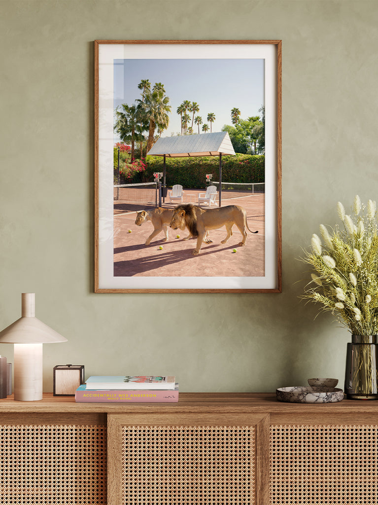 Framed artwork of two lions walking on a tennis court at The Parker Palm Springs, fine art photography by Paul Fuentes.