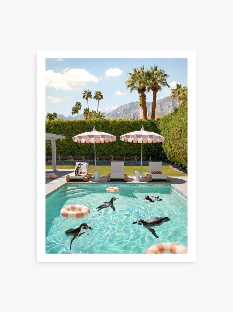 print of Penguins lounging  and swimming at the coco cabana in Palm Springs a fine art photograph by Paul Fuentes.