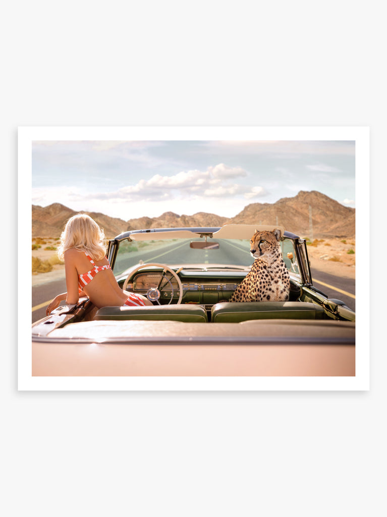 A woman in a convertible car with a cheetah sitting on the hood, driving through a desert highway, cinematic fine art print by Paul Fuentes.