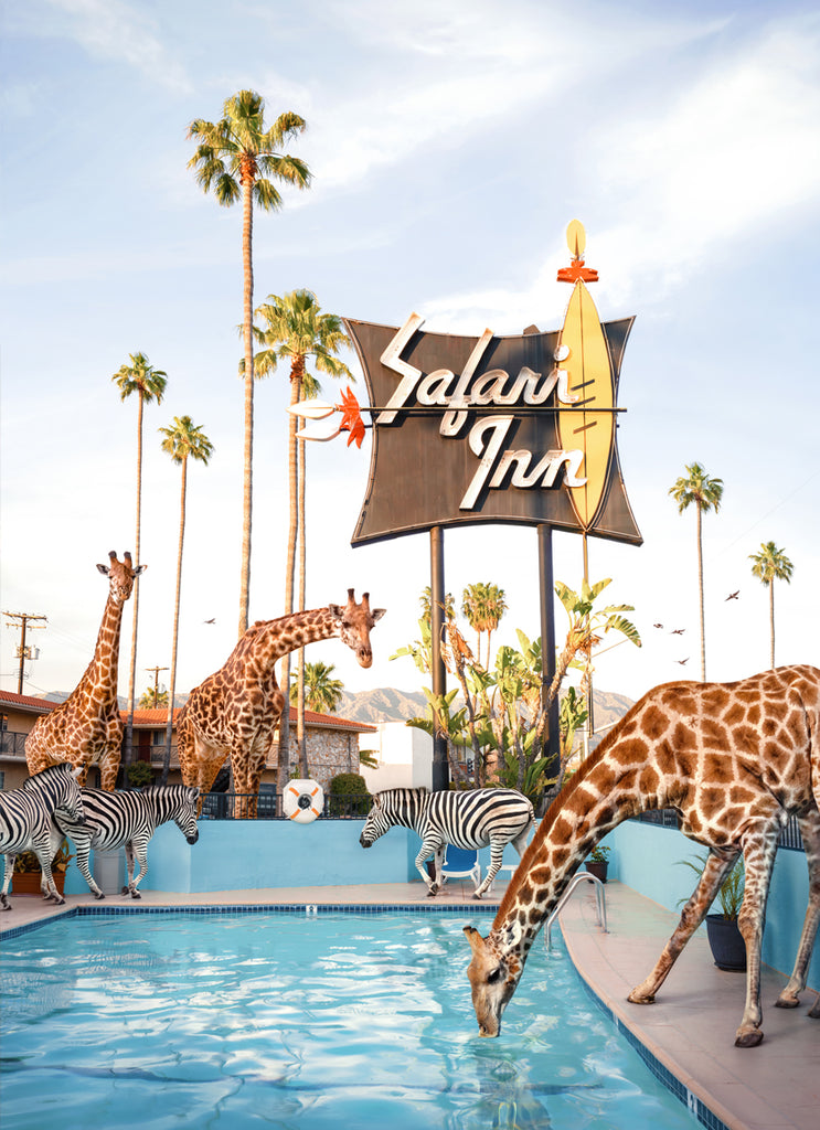 Classic motel with neon Safari Inn sign, where giraffes and zebras walking around the pool, fine art photography by Paul Fuentes.