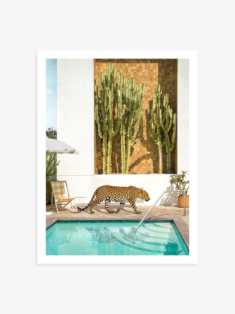 print of Leopard on a Los Angeles rooftop in Palihotel Silverlake, with large cactus a fine art photography by Paul Fuentes.