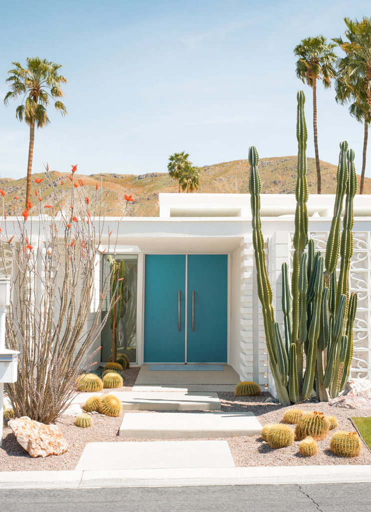 blue door at Palm Springs mid century home with palmtrees and cactus, fine art photography by Paul Fuentes.