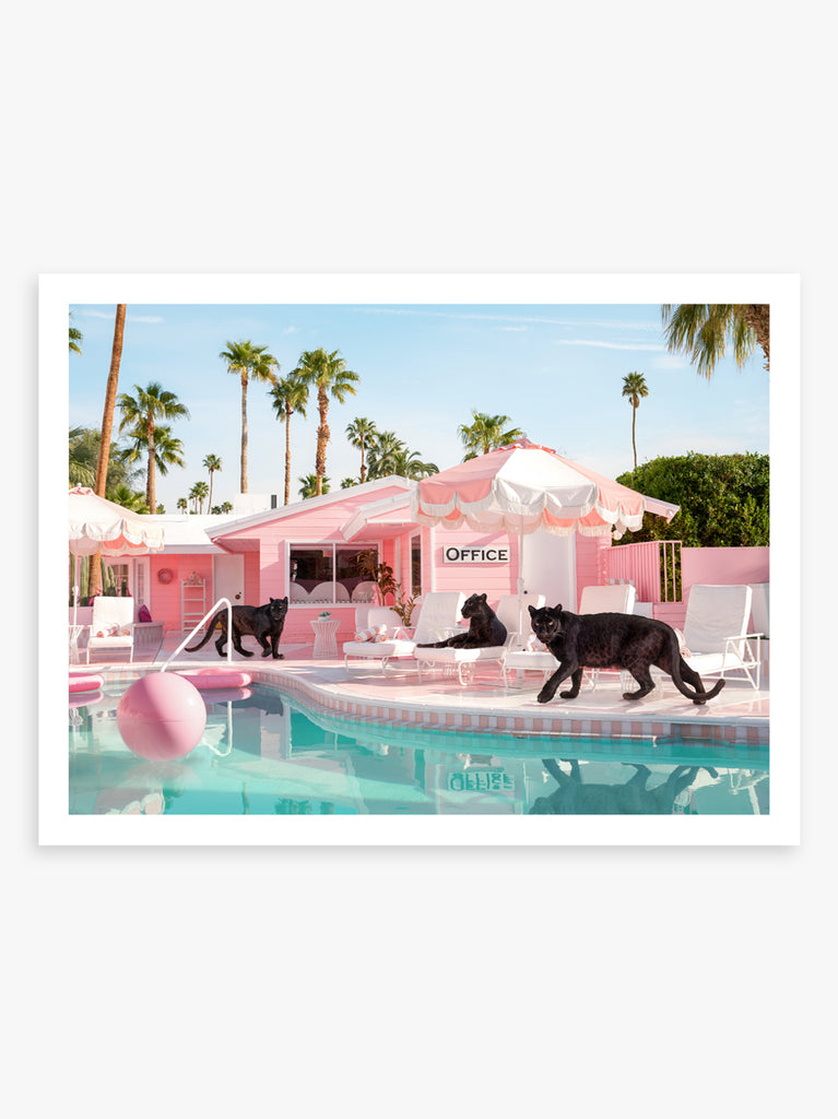 Black panters walking by the pool at the pink Trixie Motel in Palm Springs, fine art photography by Paul Fuentes.