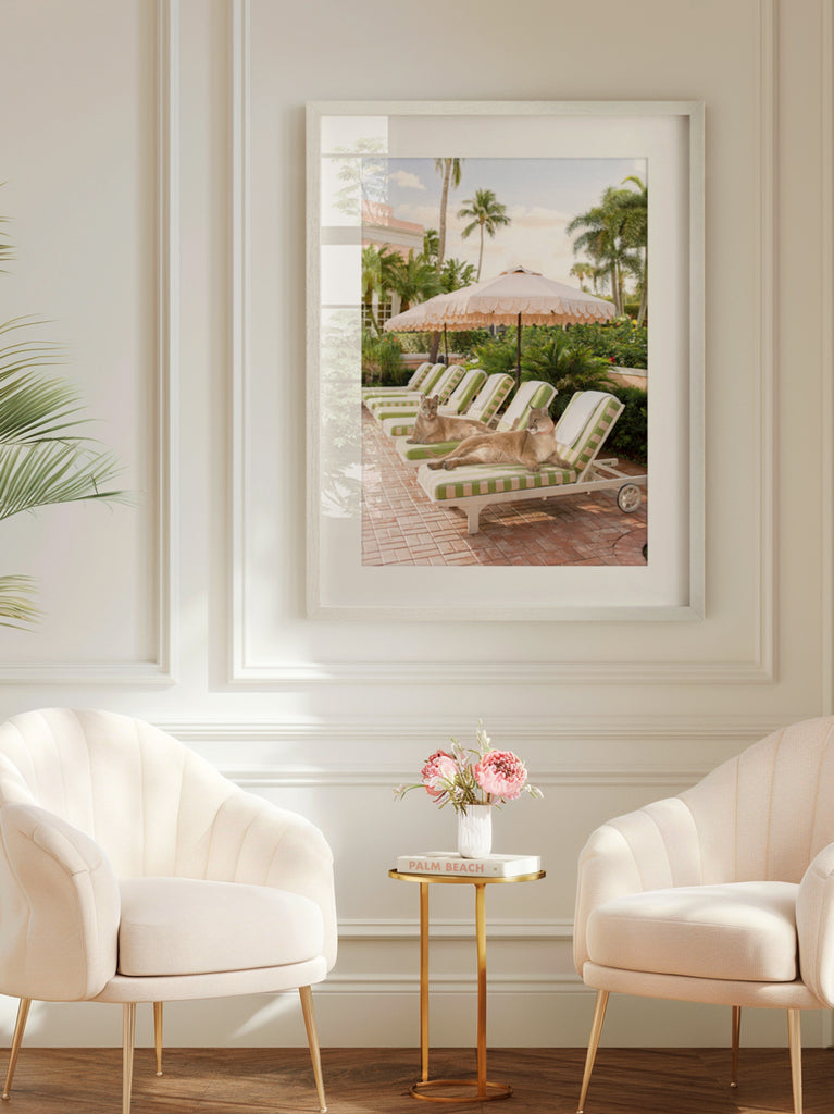 Framed Artwork of two pumas lying on poolside lounge chairs under a umbrella, set against a backdrop of palm trees at the colony hotel in miami, fine art photograph by Paul Fuentes.
