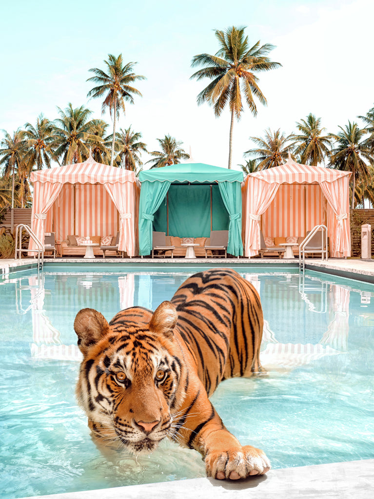 Tiger lounging by a pool cabana in Miami, tropical fine art photography by Paul Fuentes. inspired by the works of Slim Aarons.