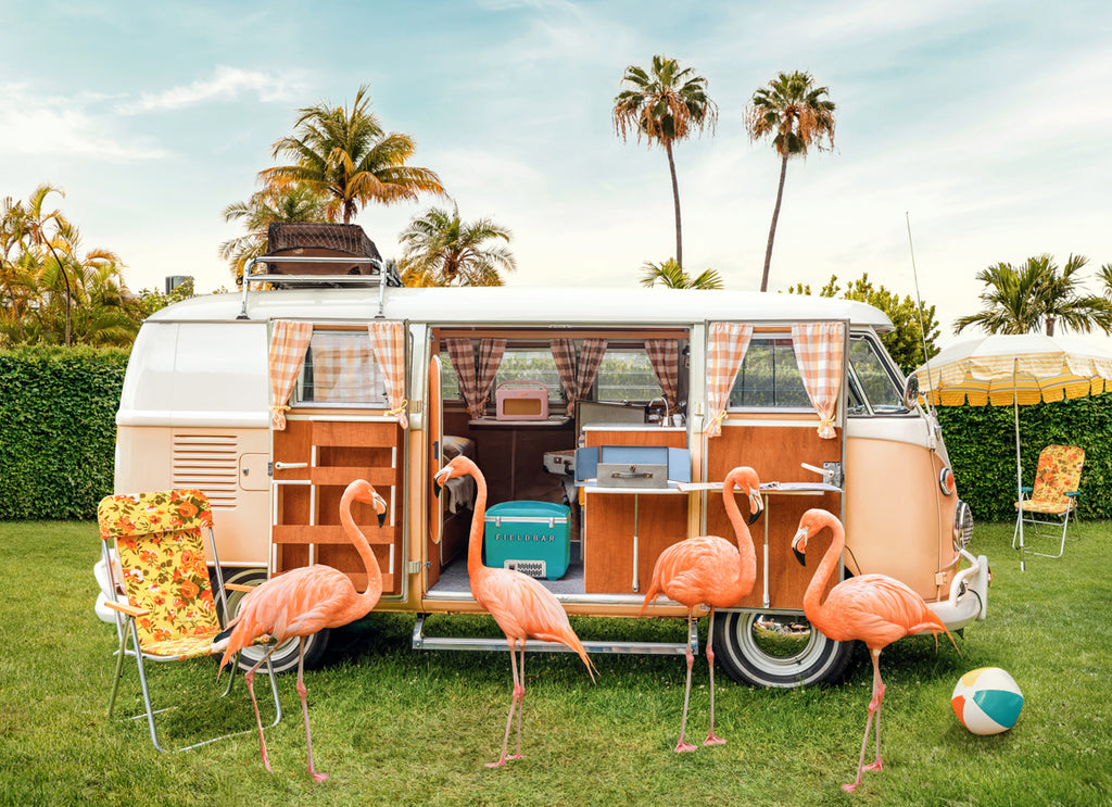 fine art photograph by Paul Fuentes of flamingos camping in a classic volkswagen van with tropical vibes.