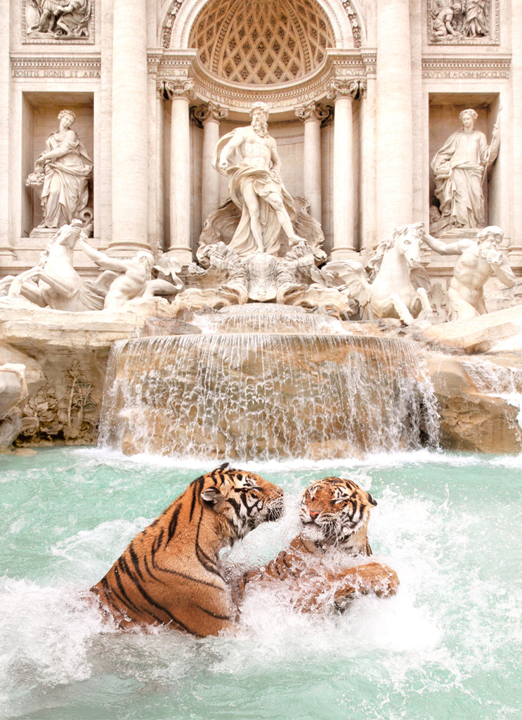Two tigers playing in the Fontana di Trevi fountain in Rome, fine art photography by Paul Fuentes.