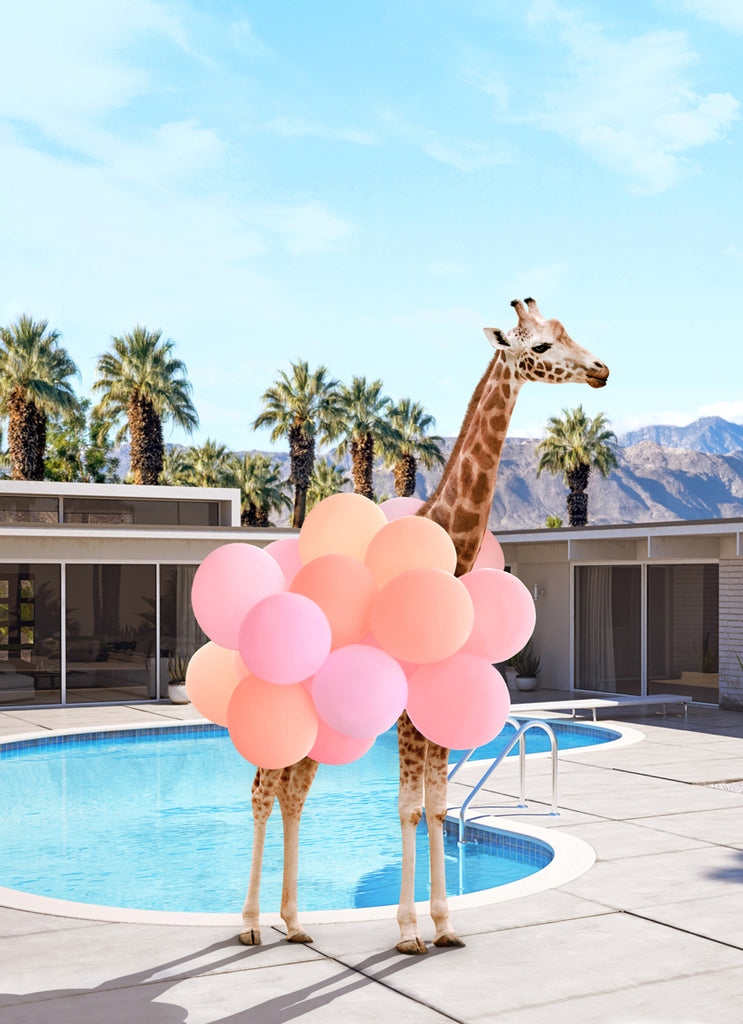 Giraffe dressed in balloons standing beside a Palm Springs home, fine art photograph by Paul Fuentes.