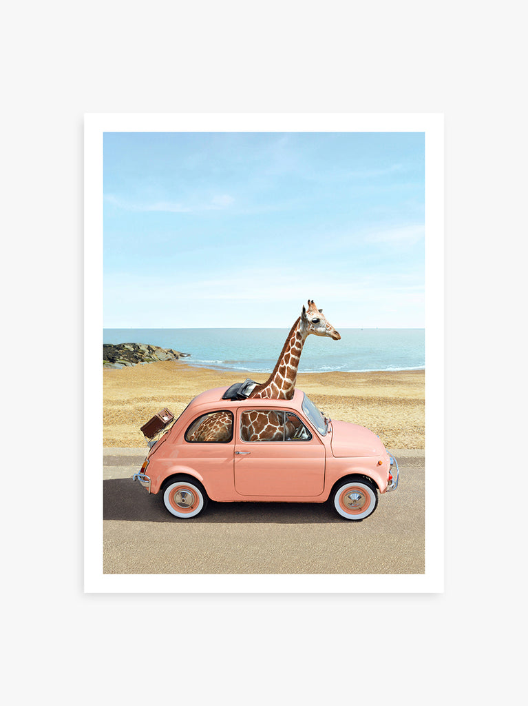Giraffe sitting in a vintage car driving through Italy coastline, fine art photography by Paul Fuentes.