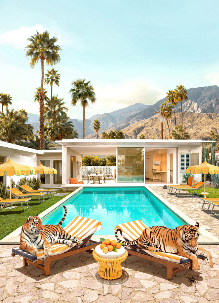 Photography by Paul Fuentes of tigers lying by a poolside in Palm Springs with palm trees in the background, inspired by an iconic work of Slim Aarons ‘Poolside Glamour.