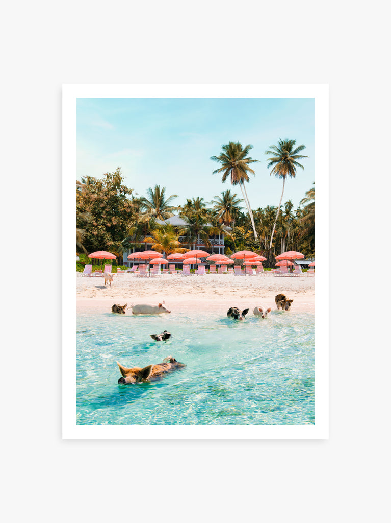 A colorful artwork by Paul Fuentes showing  pigs swimming in clear tropical water with palm trees and beach umbrellas in the background.