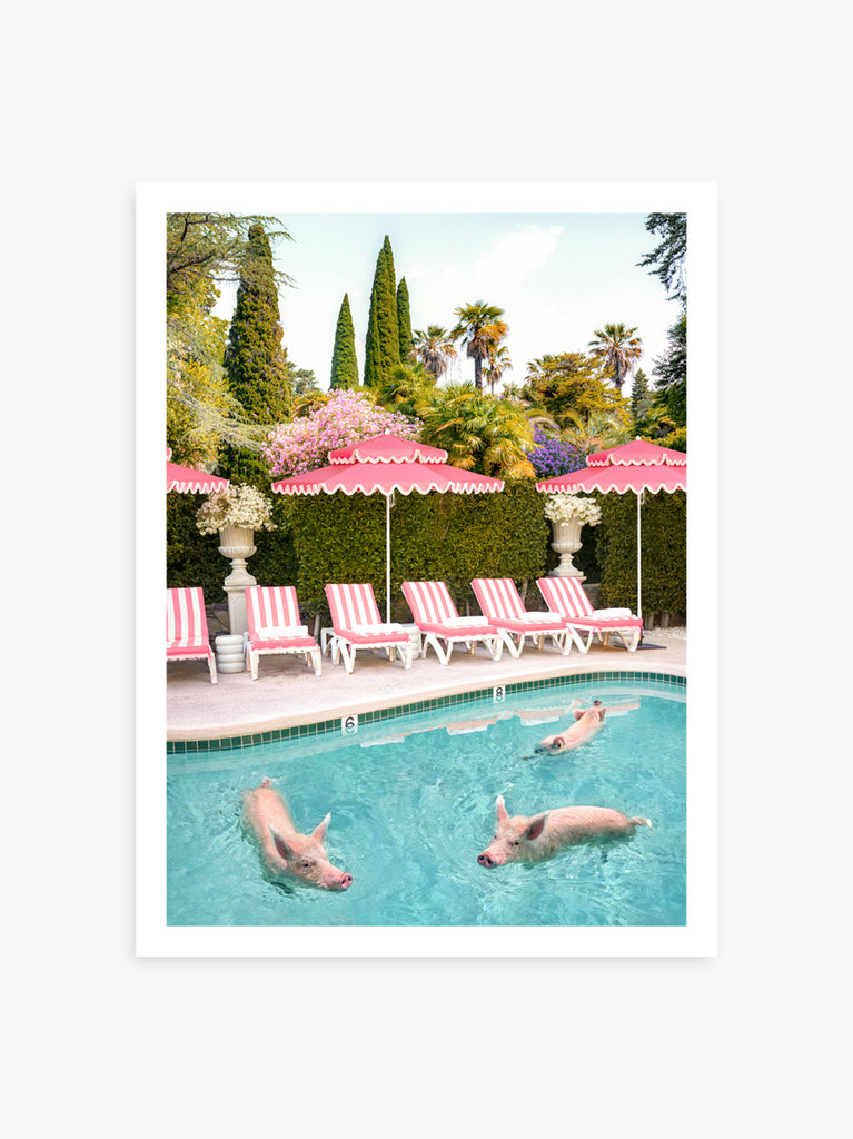 Three pigs swimming in a pool in Bel Air, pink umbrelas and lounge chairs in the background, fine art photography by Paul Fuentes.