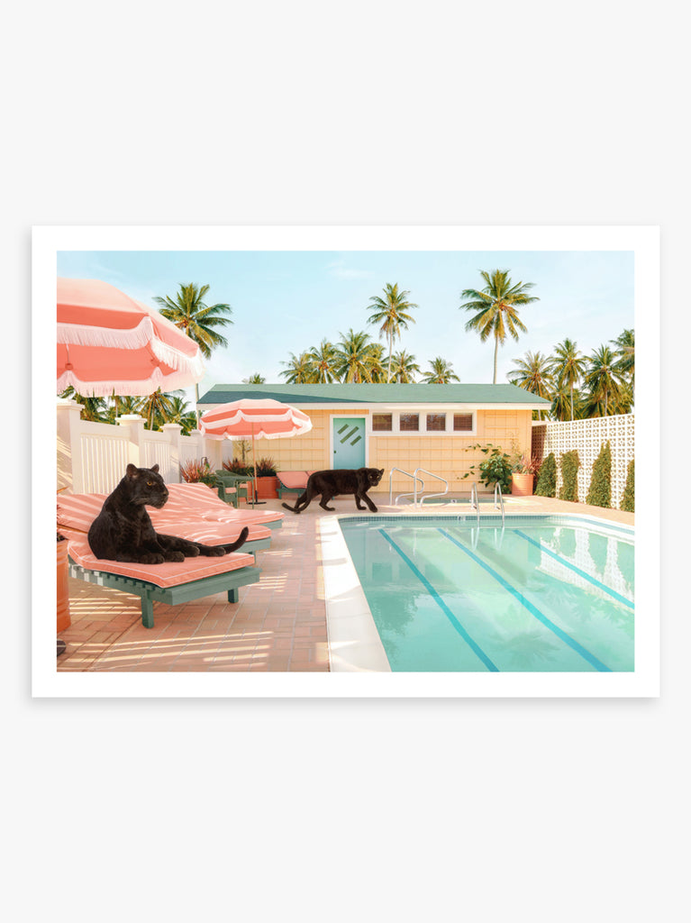 Two black panthers resting beside a modern pool, pastel colors, fine art photography by Paul Fuentes.