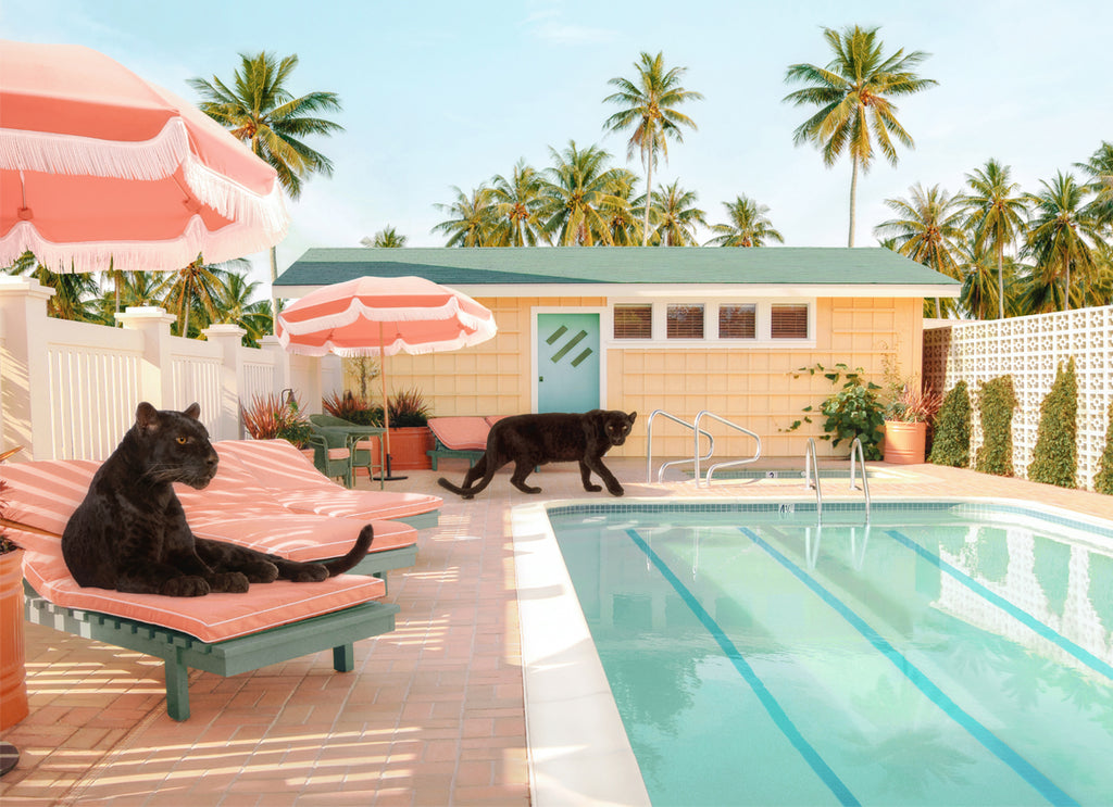 Two black panthers resting beside a modern pool, pastel colors, fine art photography by Paul Fuentes.