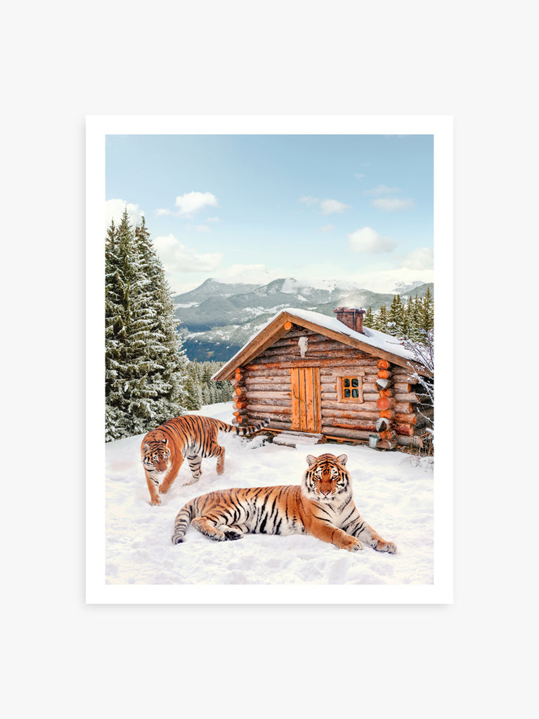 Two tigers in snowy mountain landscape, surreal fine art print by Paul Fuentes. inspired by the works of Slim Aarons
