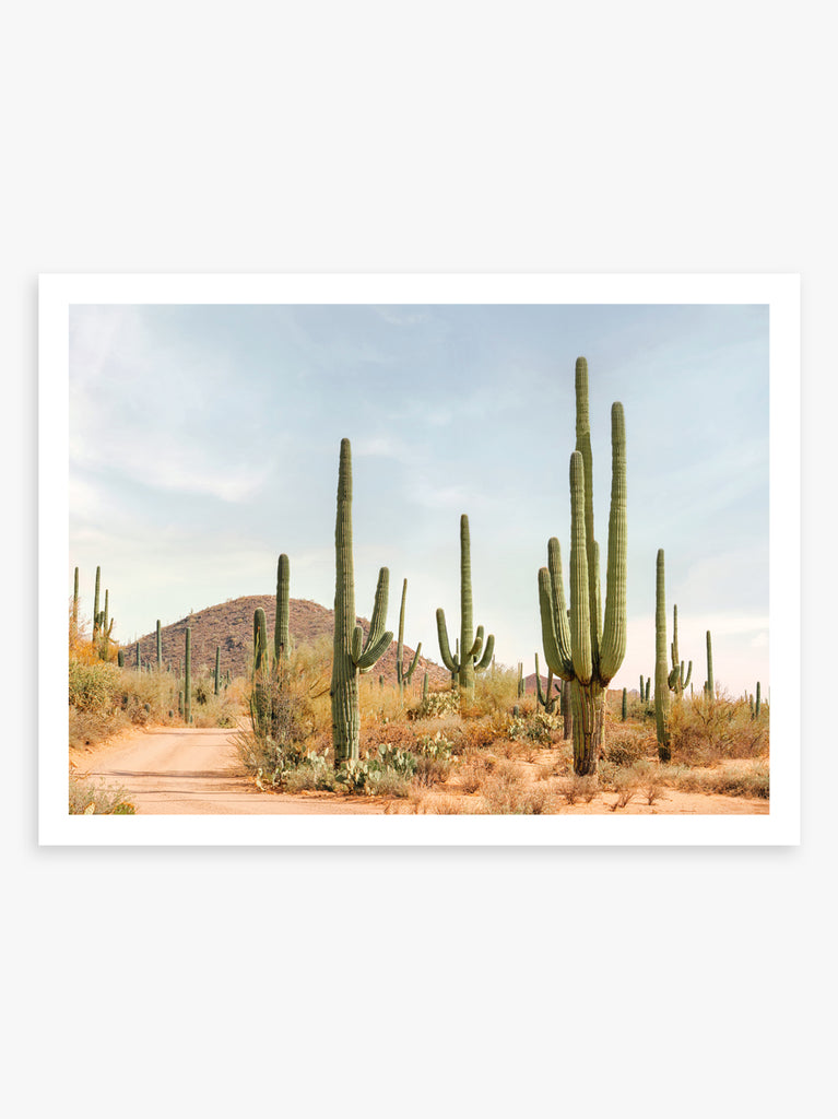 art print of desert landscape with cacti and soft pastel sky, fine art print by Paul Fuentes.