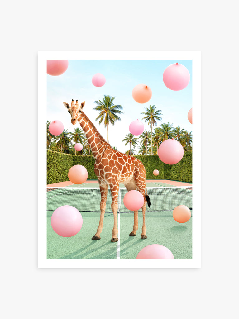 Giraffe on a tennis court with pastel balloons, fine art photography print by Paul Fuentes.