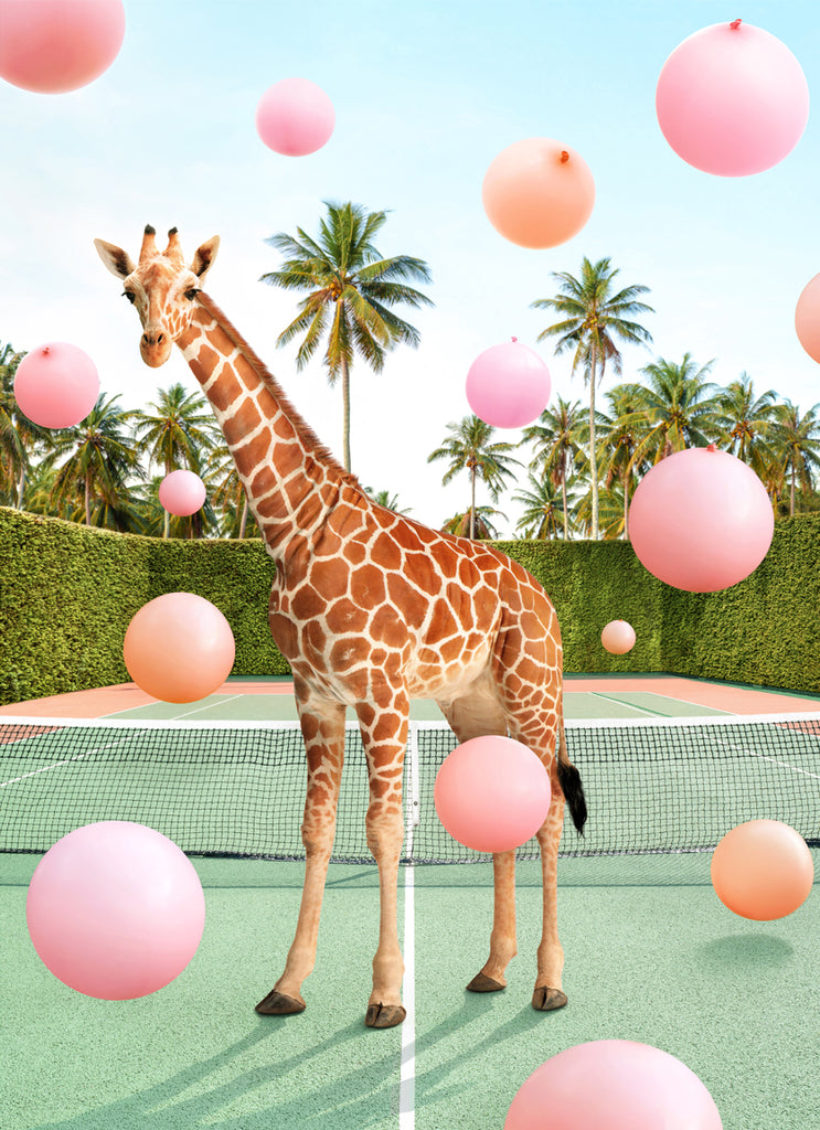 Giraffe on a tennis court with pastel balloons, fine art photography print by Paul Fuentes.