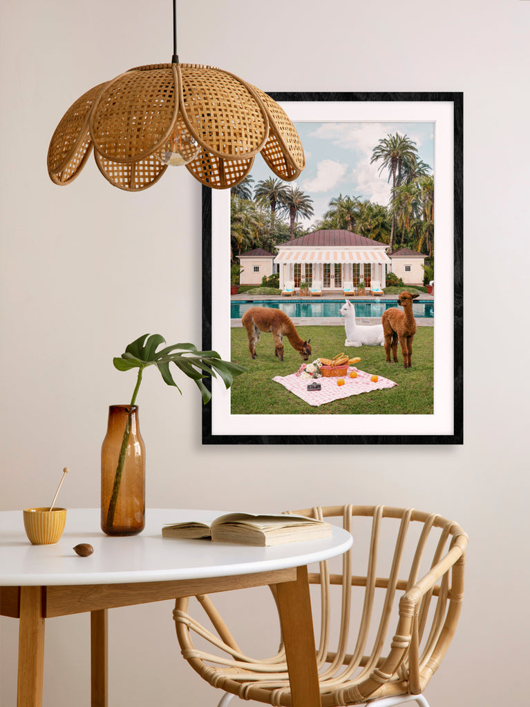 Framed artwork of Llamas sitting around a picnic scene in a garden with pool and palm trees, fine art photography by Paul Fuentes.