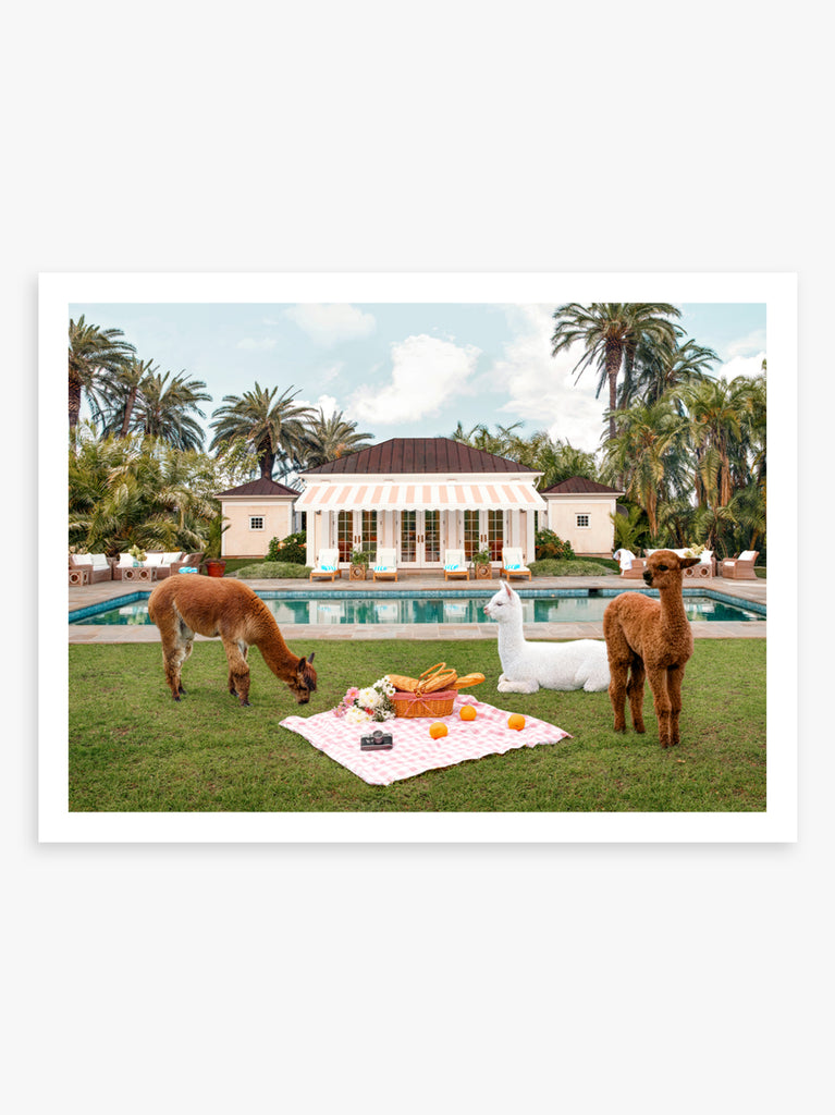 art print of two Llamas sitting around a picnic scene in a garden with pool and palm trees, fine art photography by Paul Fuentes.