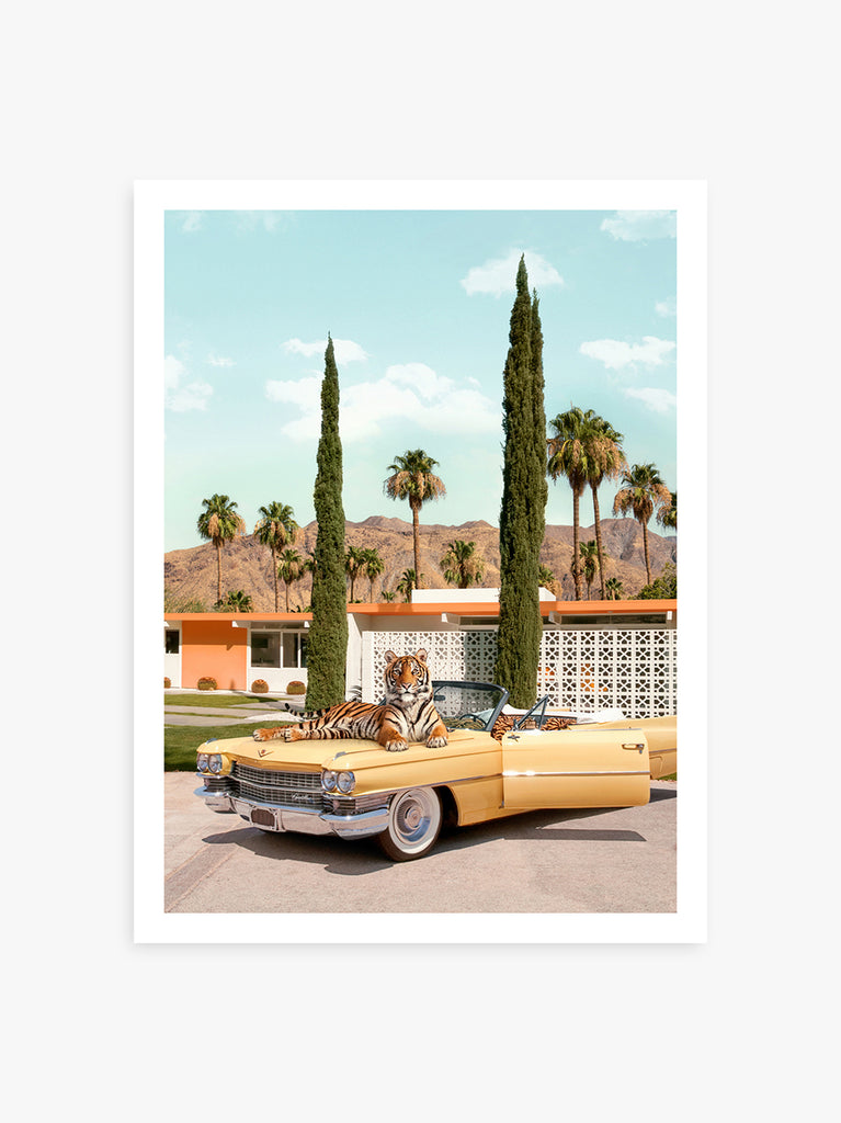 Tiger laying on a vintage yellow car in Palm Springs, fine art photography by Paul Fuentes.