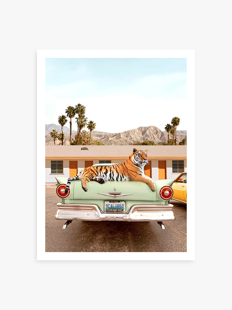 retro art print of a Tiger on top of a classic car in front of a  roadside motel in Palm Springs, California, surreal fine art print by Paul Fuentes. 