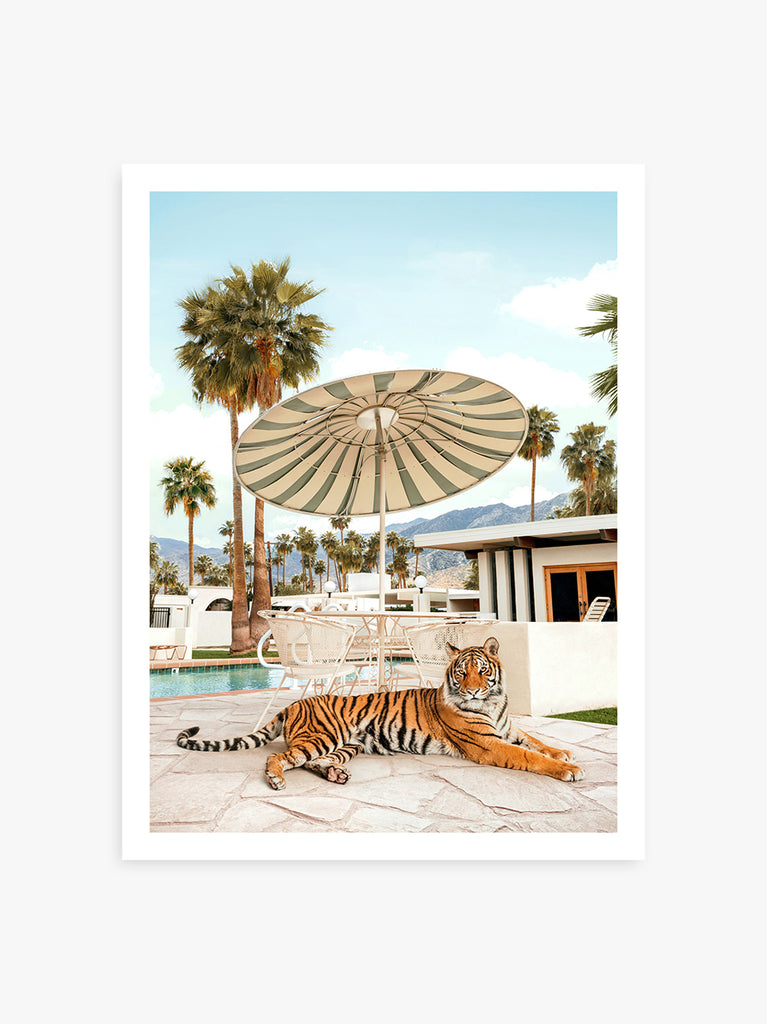 Artistic print featuring a tiger lying down a umbrella and palm trees in the background, representing a playful and vintage Palm Springs vibe, fine art photography by Paul Fuentes