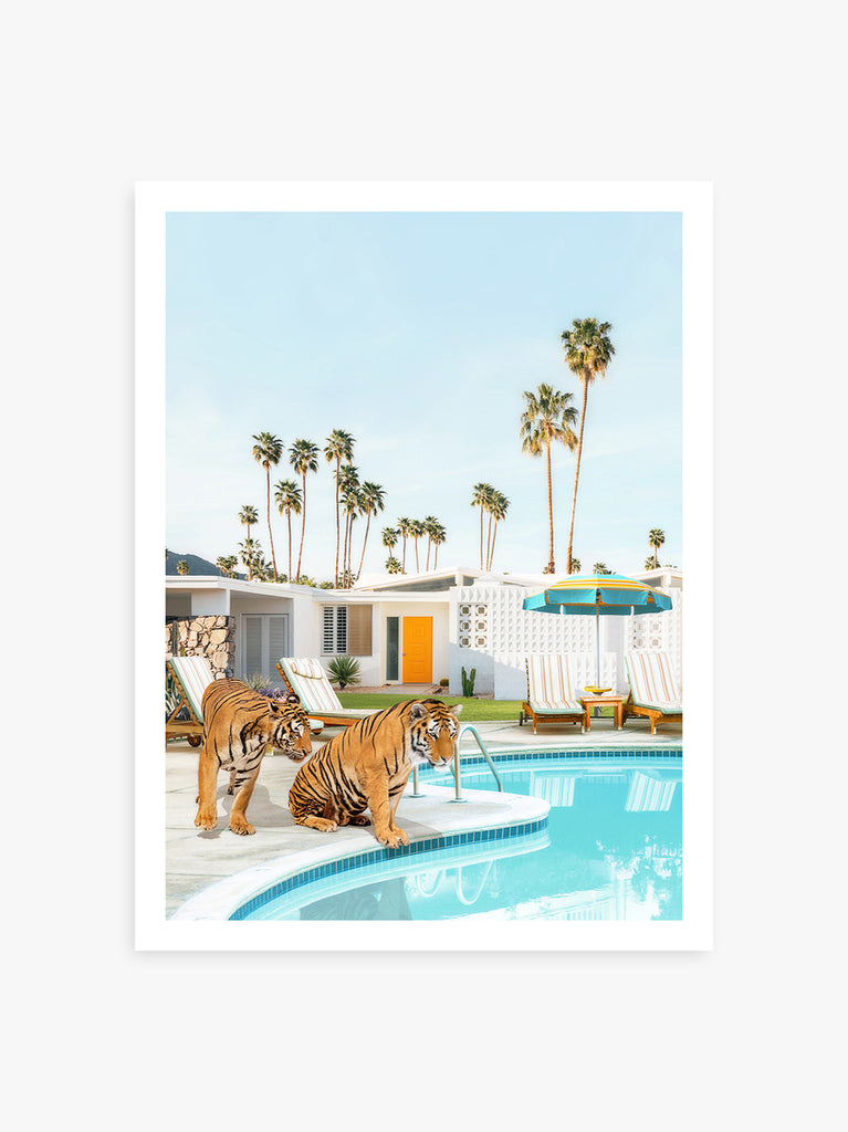 Two tigers lounging by a Palm Springs pool, retro fine art photography by Paul Fuentes.