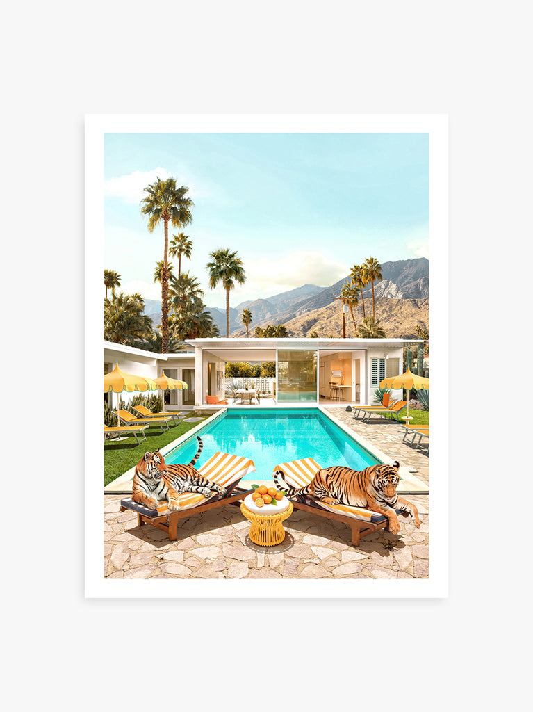 fine art print by Paul Fuentes of tigers lying by a poolside in Palm Springs with palm trees in the background, inspired by an iconic work of Slim Aarons ‘Poolside Glamour.